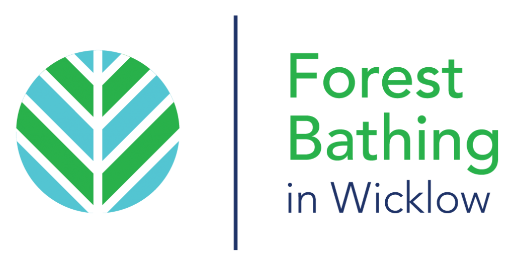 Forest Bathing in Wicklow
